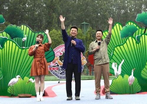 曲阜最新爆料事件新闻视频,事件真相揭秘，视频曝光惊人内幕