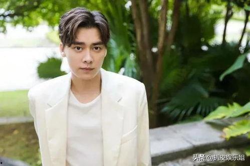 李易峰任嘉伦最新爆料,揭秘娱乐圈幕后真相